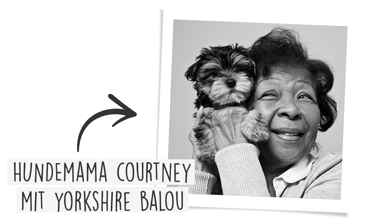 Mejor que el pienso seco