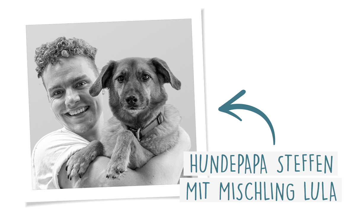 Mejor que la comida enlatada